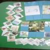 Дидактические игры по экологическому воспитанию в средней группе картотека (средняя группа) на тему
